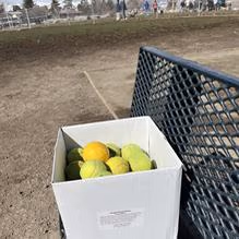 Link Piazzo Dog Park at Hidden Valley Regional Park